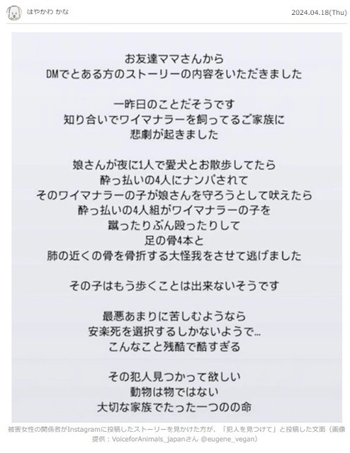 被害犬2.jpg