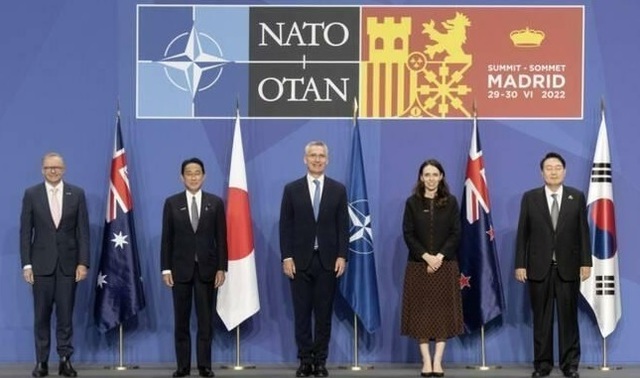 NATO日韓.jpg